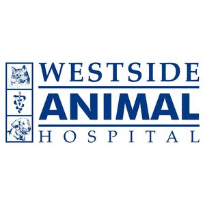 Team Page: Westside Animal Hospital